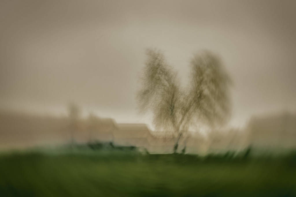 ICM Tree