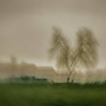 ICM Tree