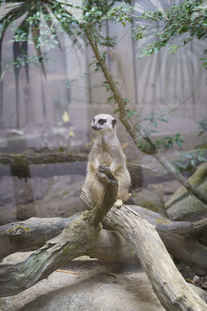 All about the moment